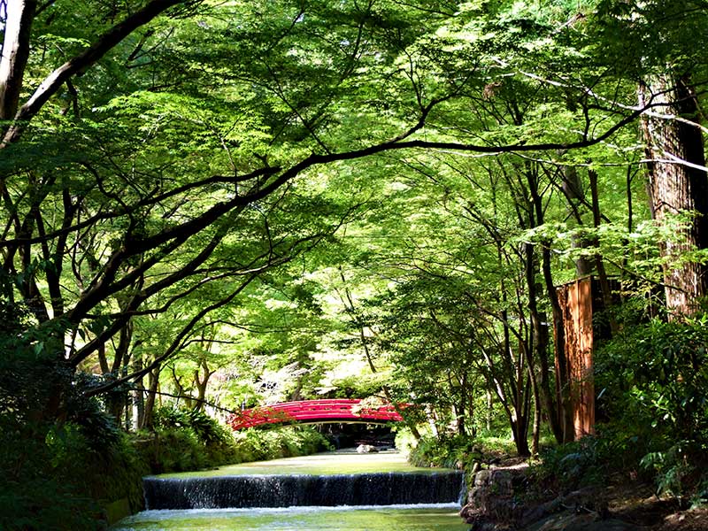 宮川森林浴ウォーキング