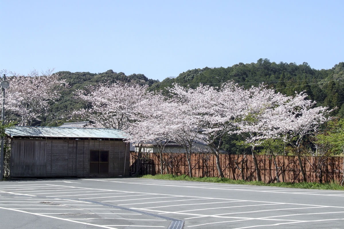 参道入り口・正面駐車場