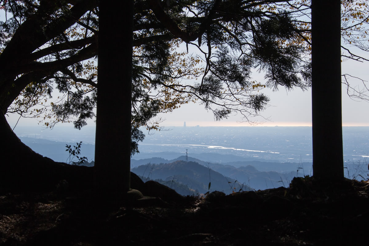 遠江国を望む本宮山