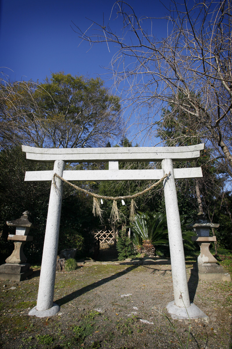 白鬚神社（しらひげじんじゃ）