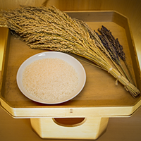 小國神社 神社のいろは／お神札と家庭のまつり