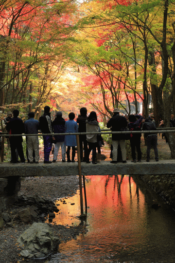 第9回小國神社写真コンテスト審査発表