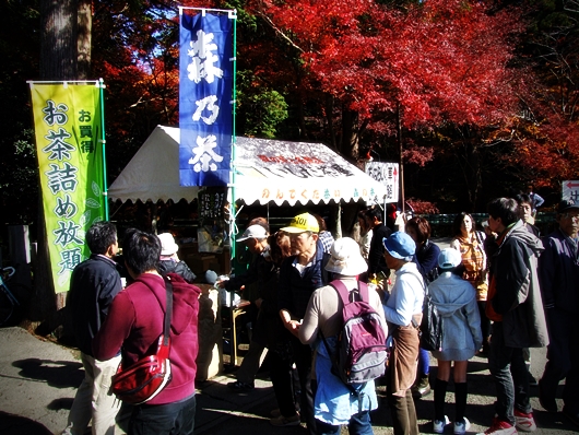 平成26年「もみじまつり」開催のご報告・ライトアップ終了・紅葉状況について