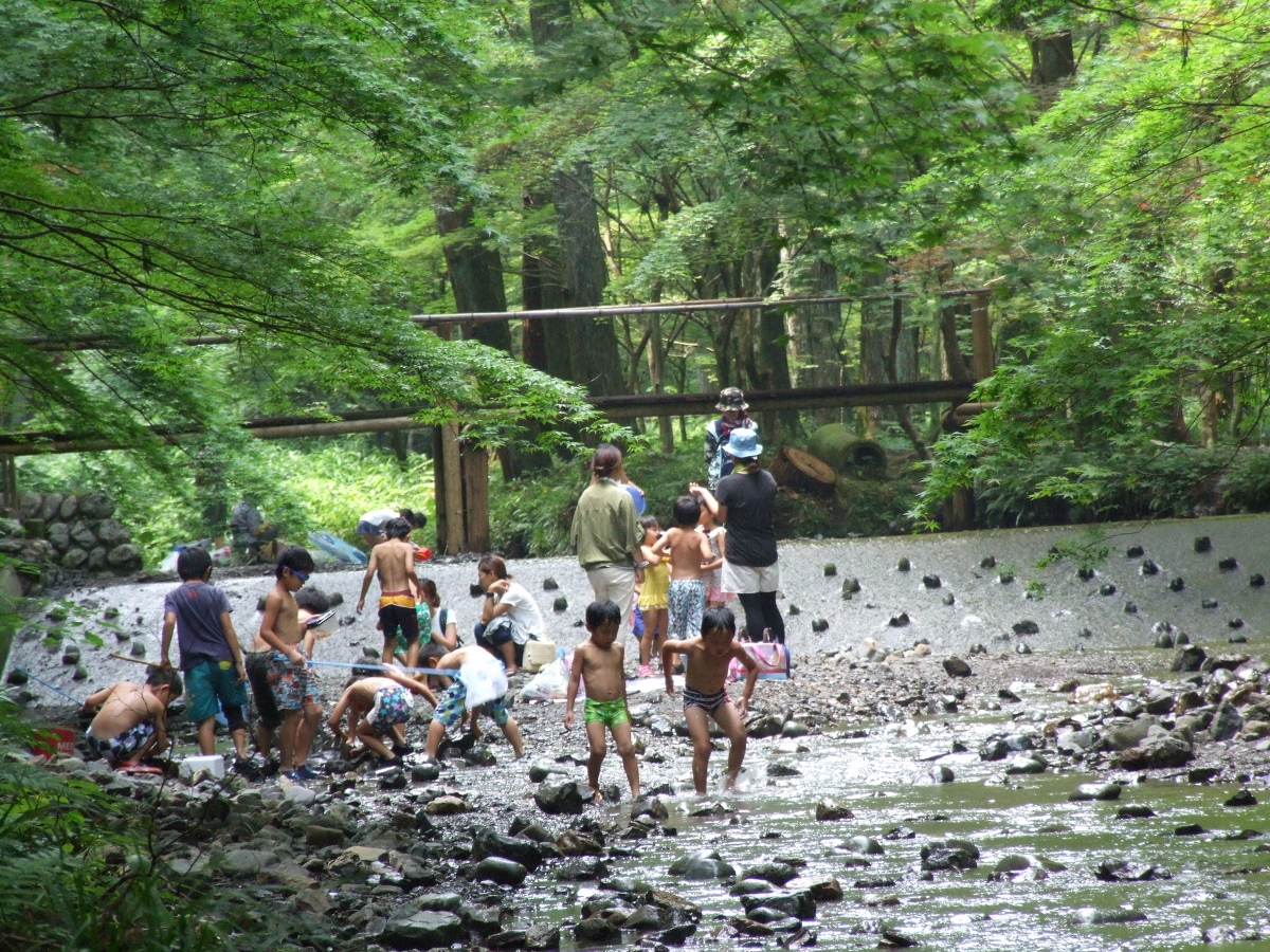 夏の風物詩、宮川川遊び風景によせて。 ’’本物の記憶が育む心の土壌’’