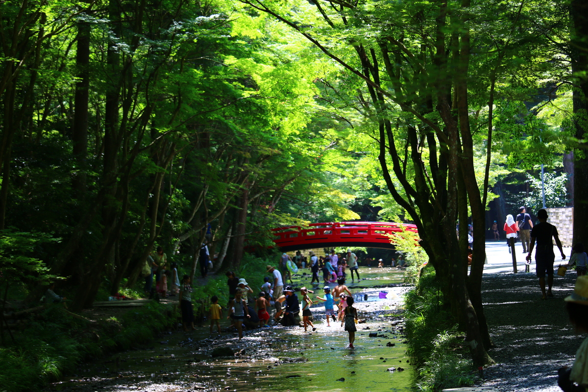 『心の土壌』を育む本物の体験を ～宮川の川遊びに寄せて～（平成２８年８月１１日改訂「神社からのお願い」を追加）