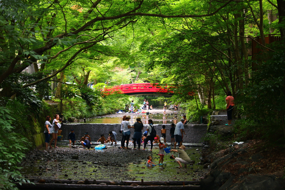 小國神社の夏 ～宮川の川遊びを楽しもう～