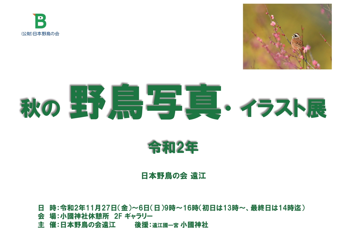 「令和２年 秋の野鳥写真・イラスト展」開催のお知らせ ◇１１月２７日（金）～１２月６日（日）◇