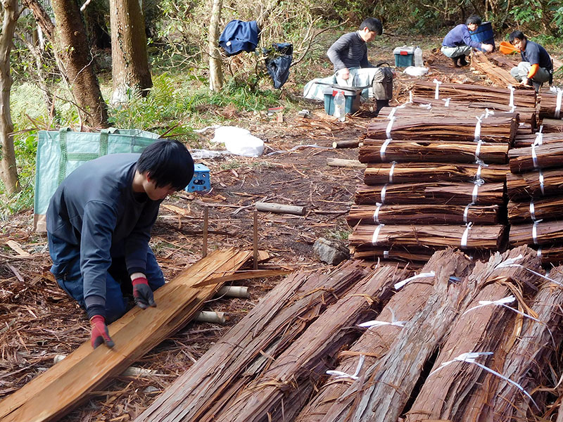 小國神社「檜皮葺のお屋根」原皮師の仕事③