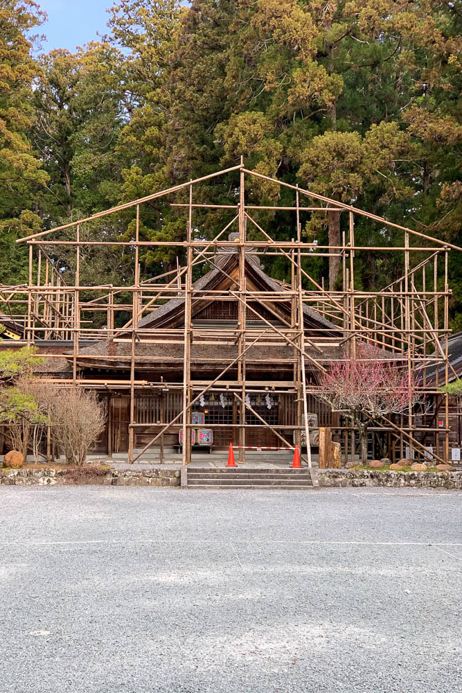 美しく整えられた足場は全て木製です（令和2年2月）