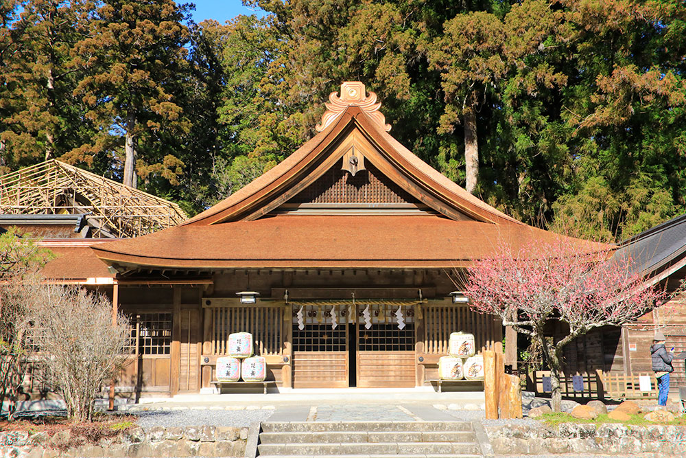 美しく葺きあがった神徳殿のお屋根