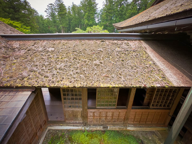 小國神社「渡り殿」修復を必要とする檜皮葺屋根