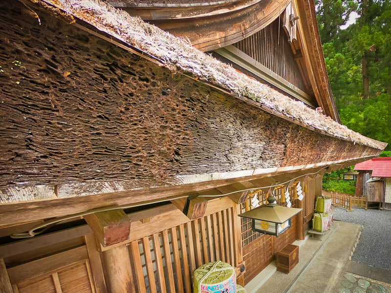 小國神社「神徳殿」修復を必要とする檜皮葺屋根