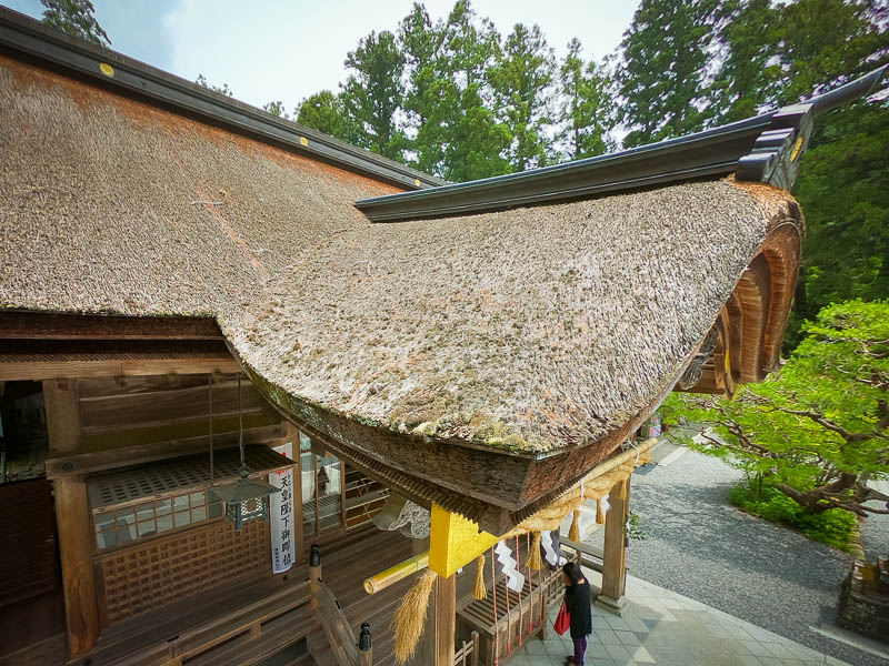 小國神社「拝殿」修復を必要とする檜皮葺屋根