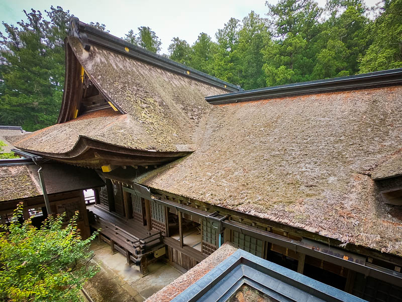 小國神社「拝殿」修復を必要とする檜皮葺屋根