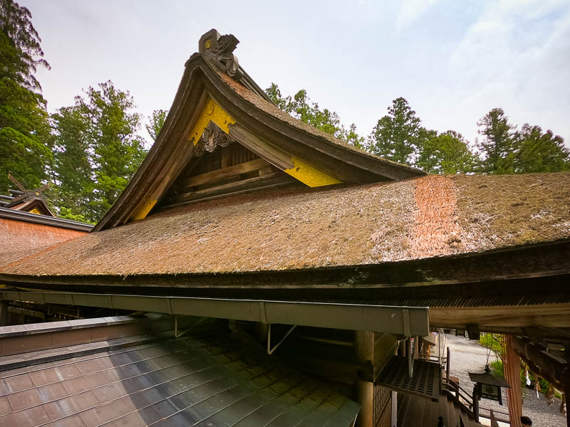 小國神社「拝殿」修復を必要とする檜皮葺屋根