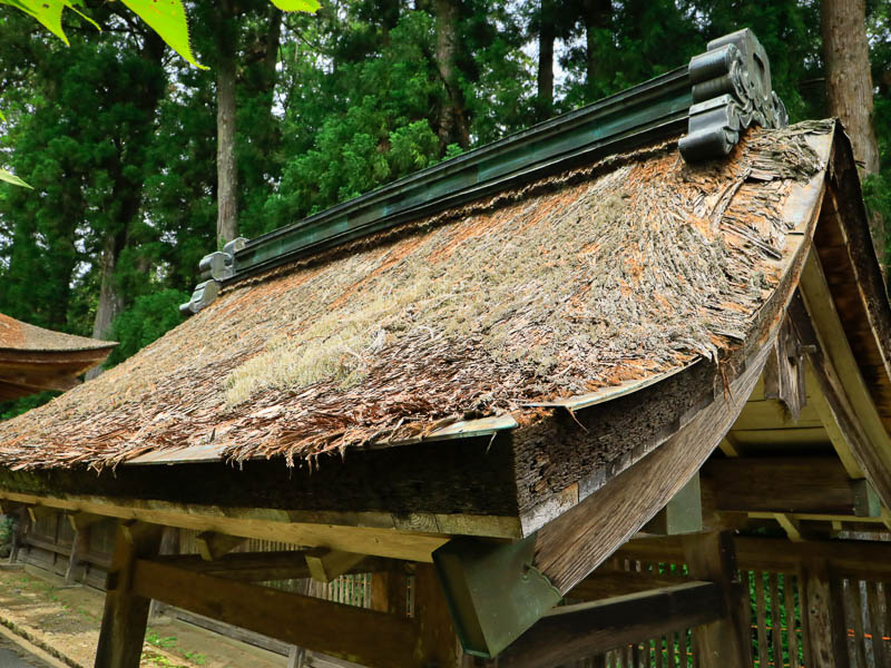 小國神社「真名井」修復を必要とする檜皮葺屋根