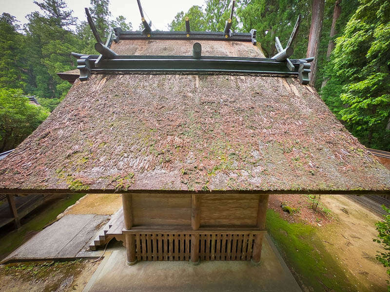 小國神社「並宮」修復を必要とする檜皮葺屋根