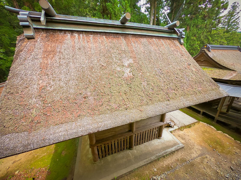 小國神社「並宮」修復を必要とする檜皮葺屋根