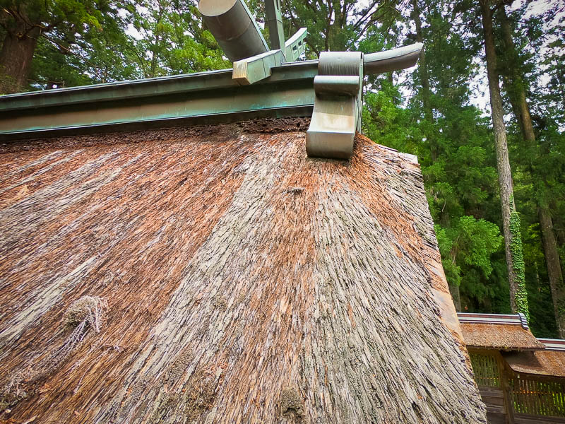 小國神社「並宮」修復を必要とする檜皮葺屋根