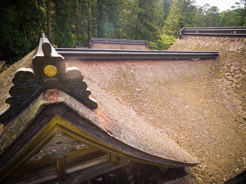 小國神社「中門・幣殿」修復を必要とする檜皮葺屋根