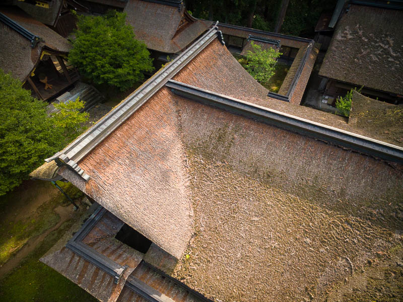 小國神社「中門・幣殿」修復を必要とする檜皮葺屋根