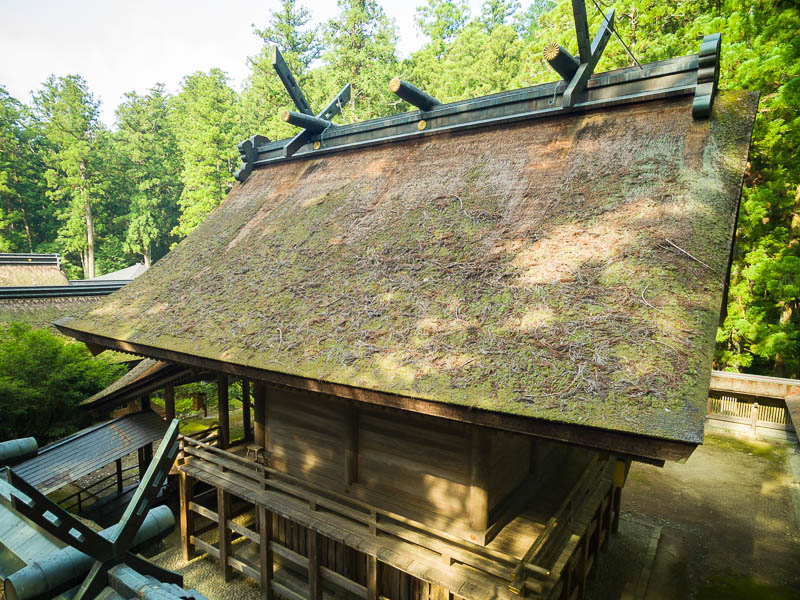 小國神社 修復前のお屋根「御本殿」