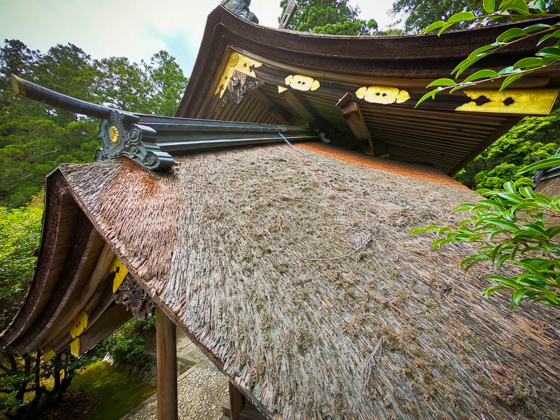 小國神社 修復前のお屋根「御本殿」