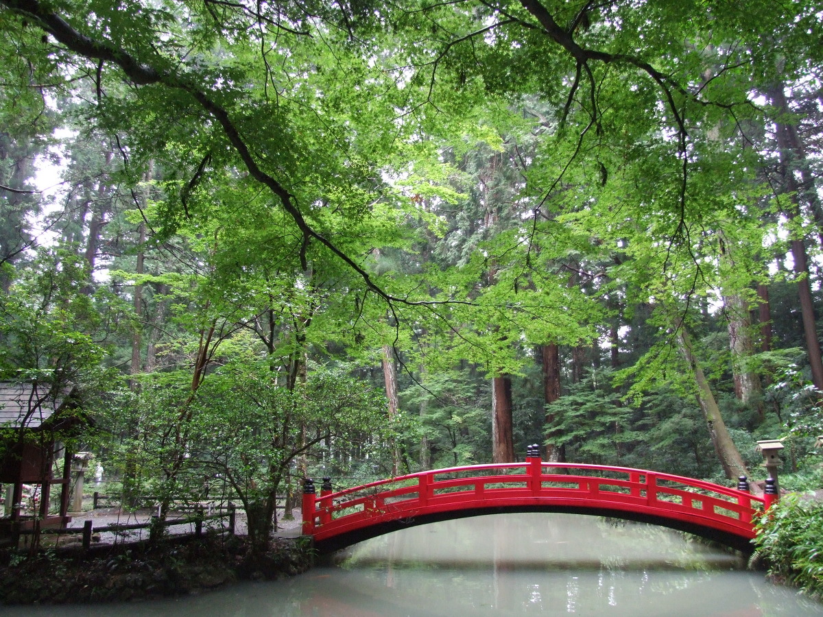 梅雨の中休み、潤いのご神域散策のススメ