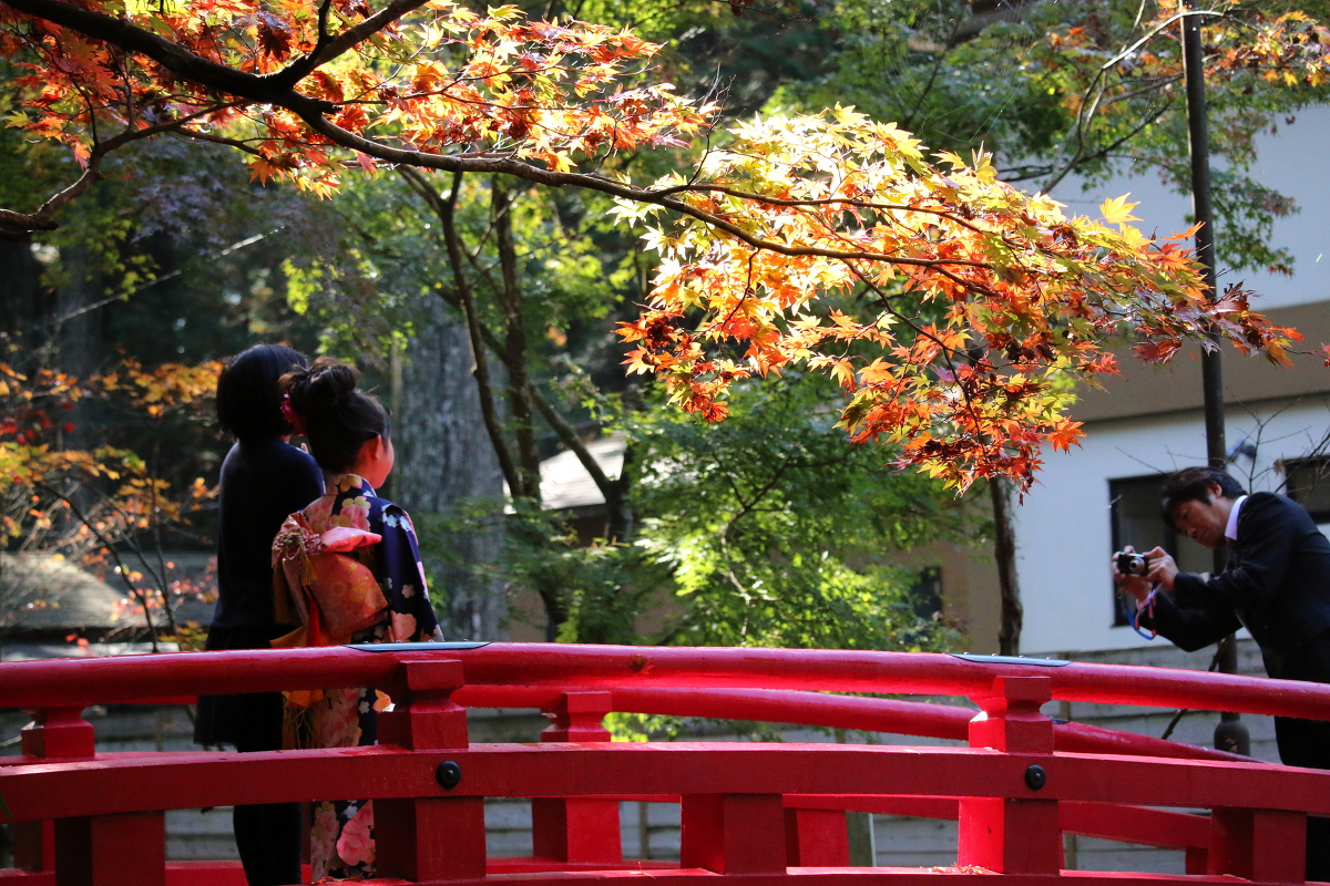 平成２７年 小國神社 紅葉情報！！！『色づき始め』～『紅葉』⑤