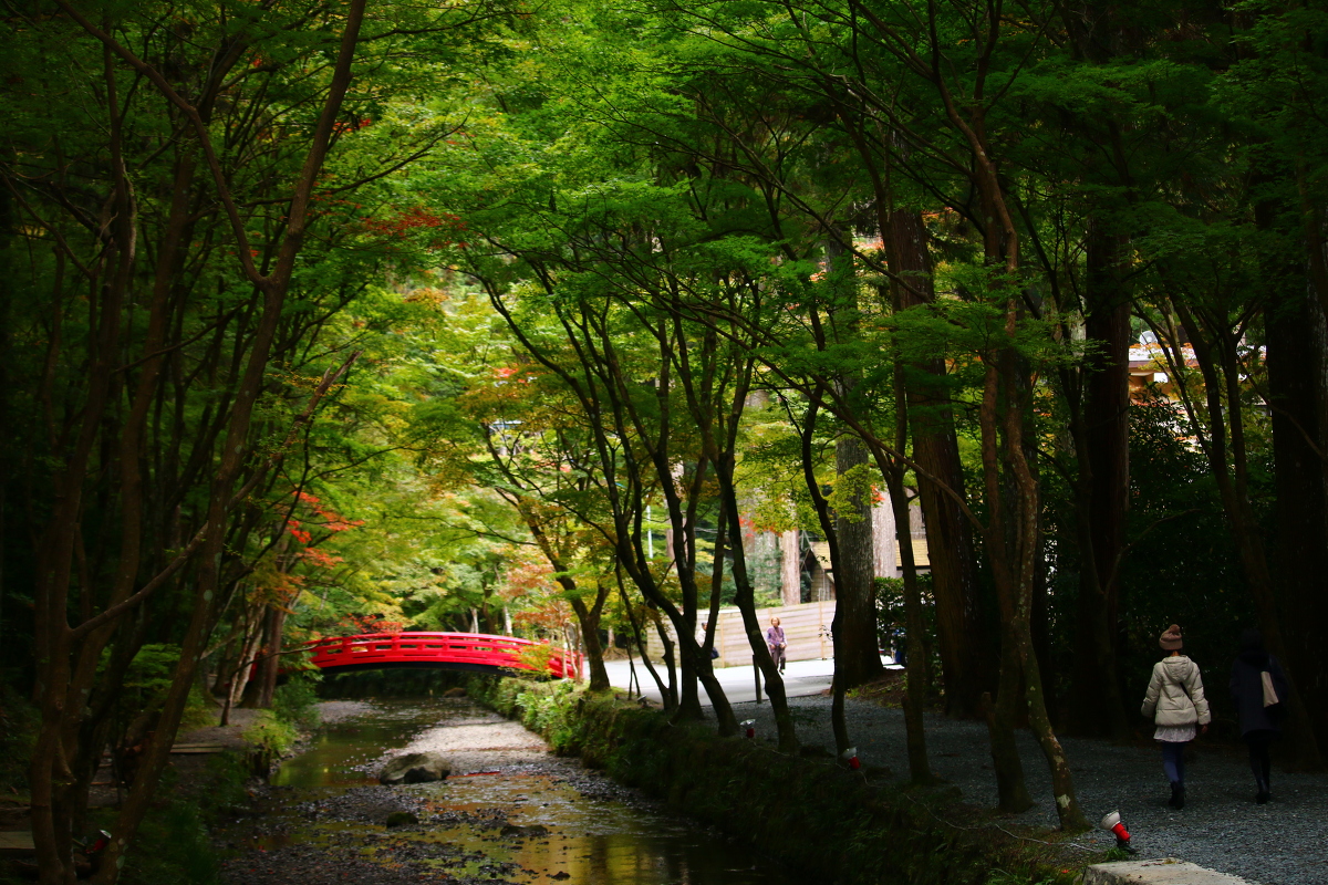 平成２８年 小國神社 紅葉情報②「色づきはじめ」・秋のイベントのお知らせ！！！