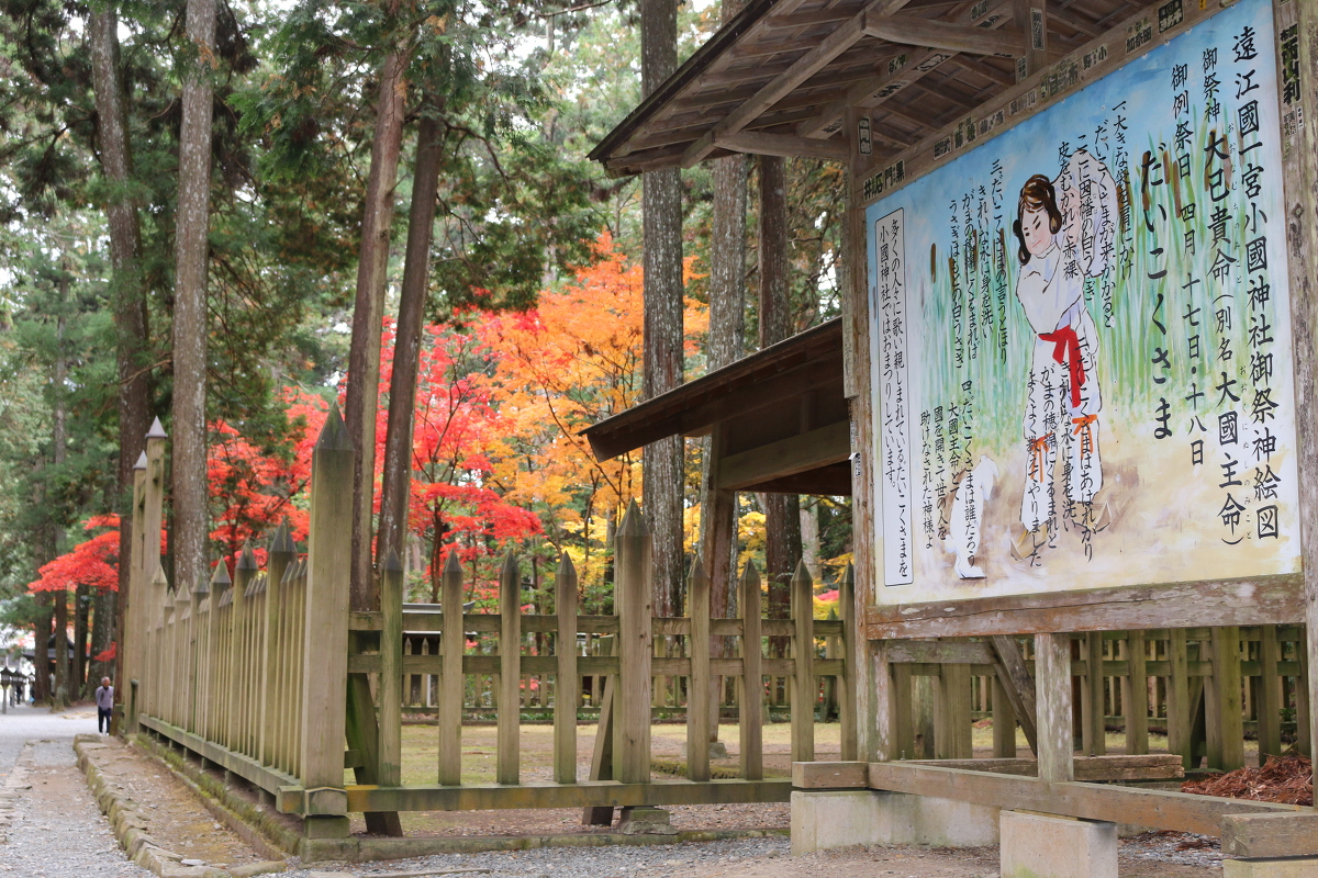 平成29年 小國神社 紅葉情報⑨「美しく色づいています／照紅葉（てりもみじ）」〇見頃を迎えています〇