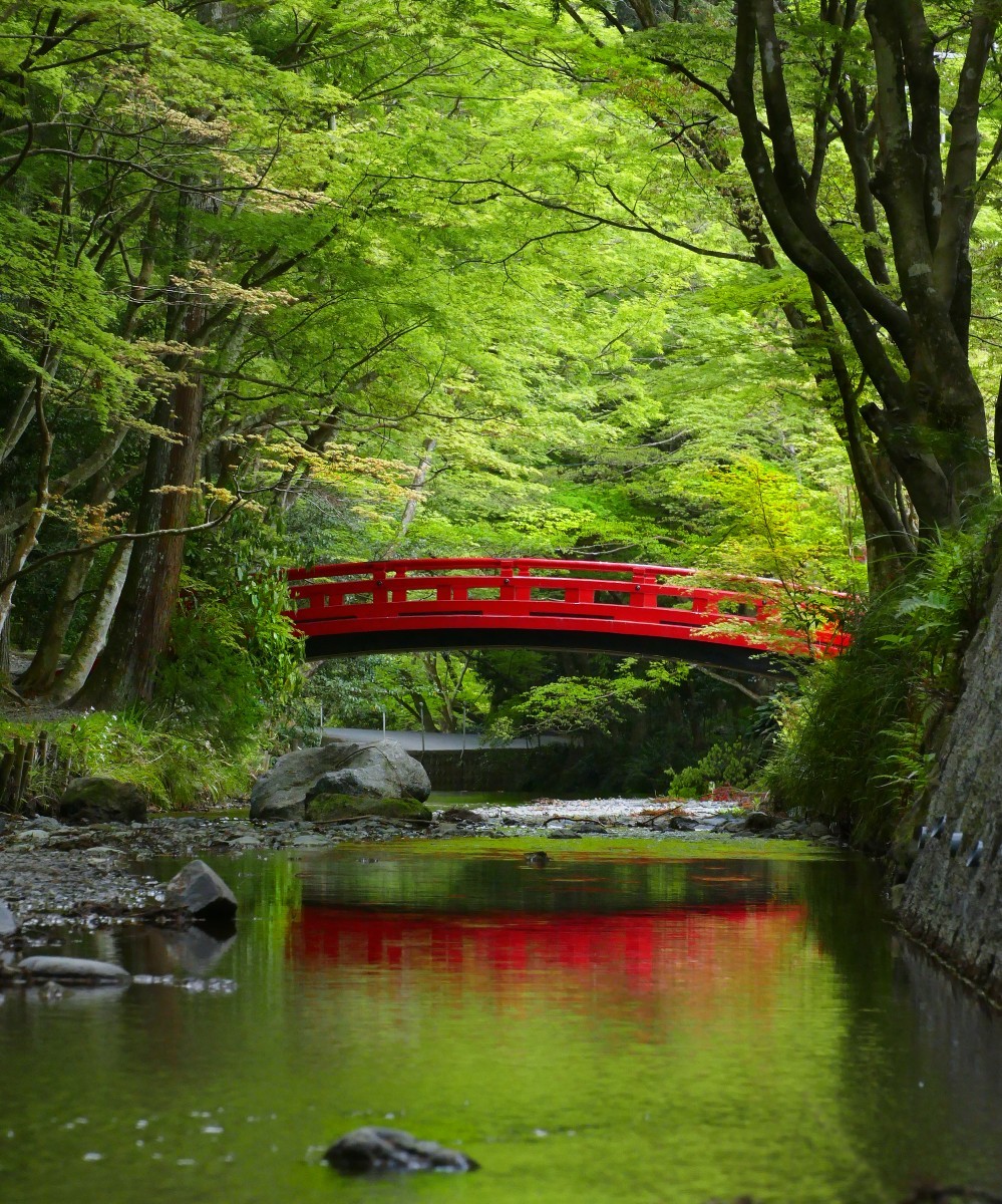 平成３１年４月３０日（火）～令和元年５月１日（水）のご参拝・奉祝行事について