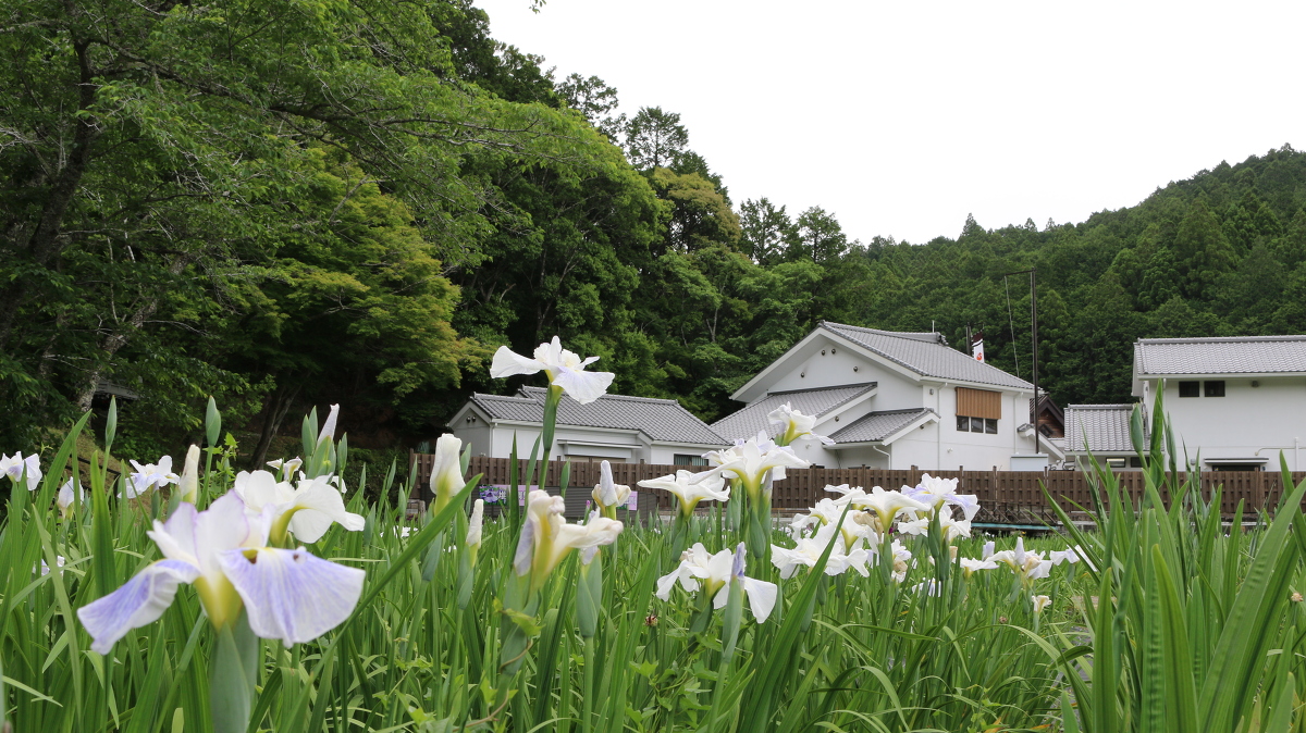 令和３年 当社『一宮花しょうぶ園』がまもなく開園いたします！ ～５月２２日（土）開園予定です～ ◇明治天皇御製（ぎょせい）・昭憲皇太后御歌（みうた）に親しむ◇