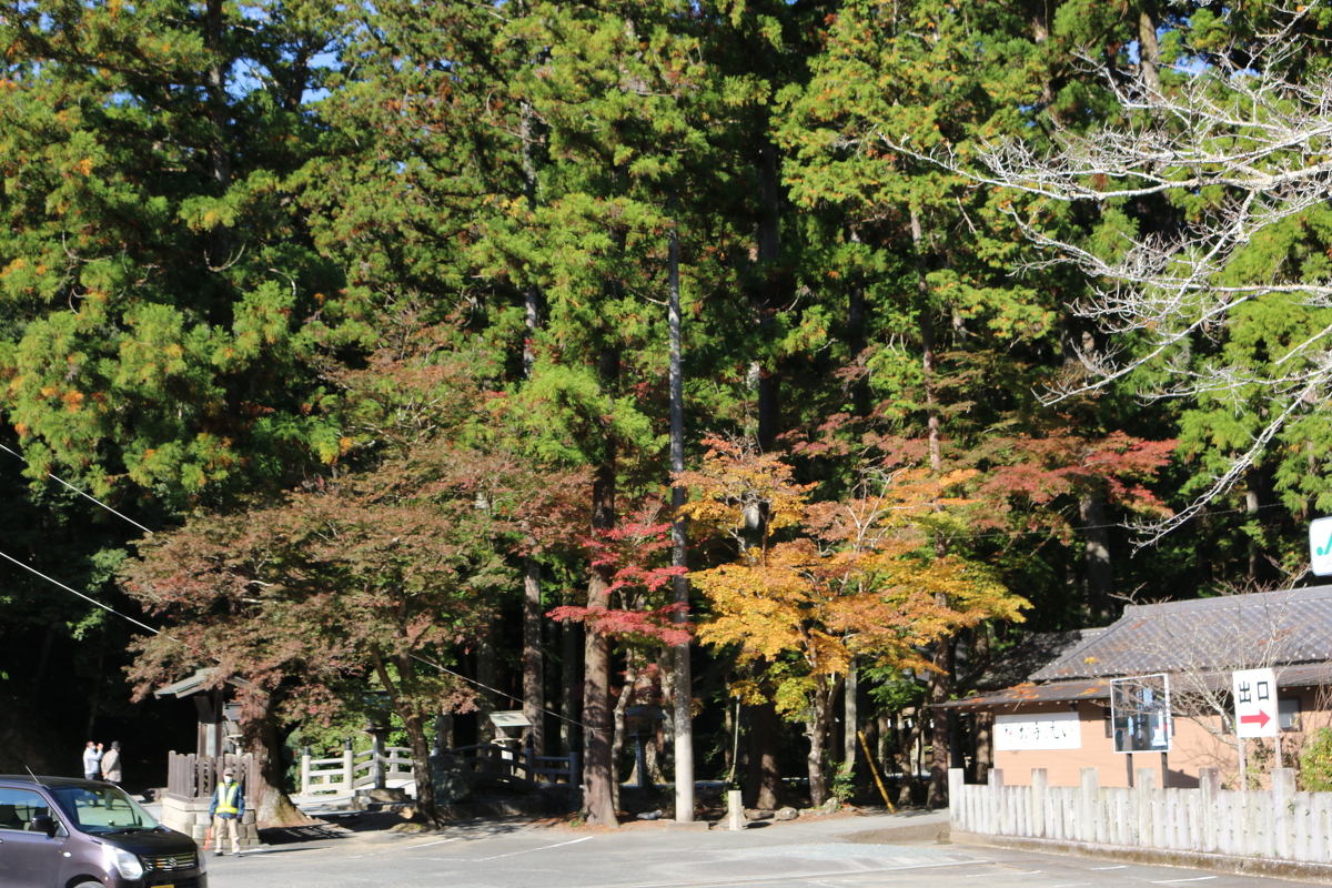 令和３年 紅葉情報のお知らせ② ～色づき始め～ ◇見頃は、１１月下旬～１２月上旬を予定しています◇