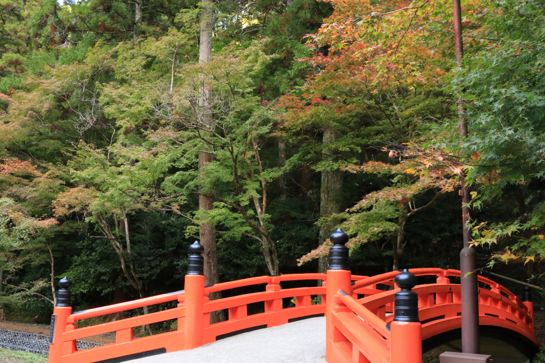 癒しの斎庭が錦に染まる（紅葉情報） ■染まり始め■